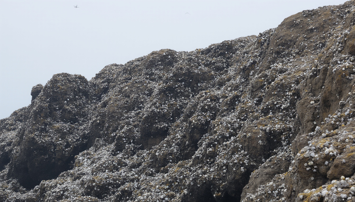 découvrez si les oiseaux font pipi, comment ils éliminent leurs déchets et ce qui distingue leur système urinaire de celui des autres animaux. explications simples et fascinantes pour comprendre la nature des oiseaux !